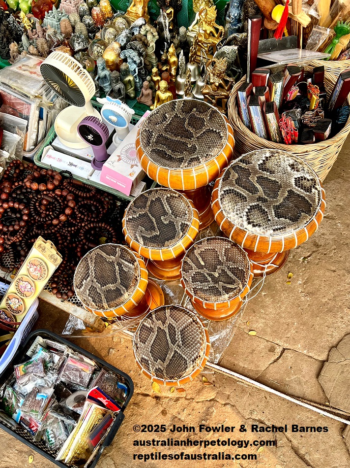 Burmese Python (Python bivittatus) skin drums for sale at Ankor Watt Marketplace (Cambodia)