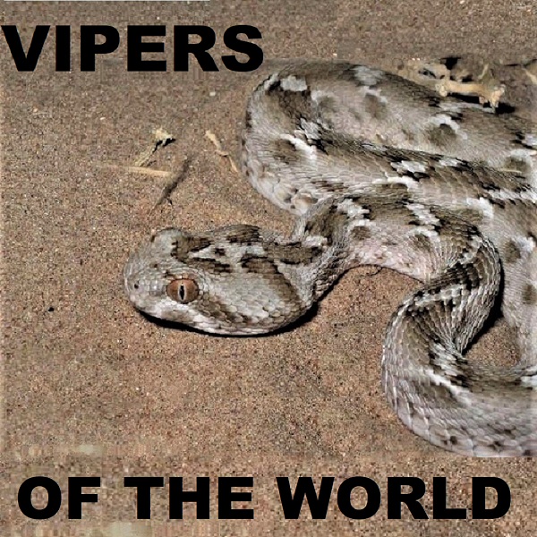 Vipers_of_the_World