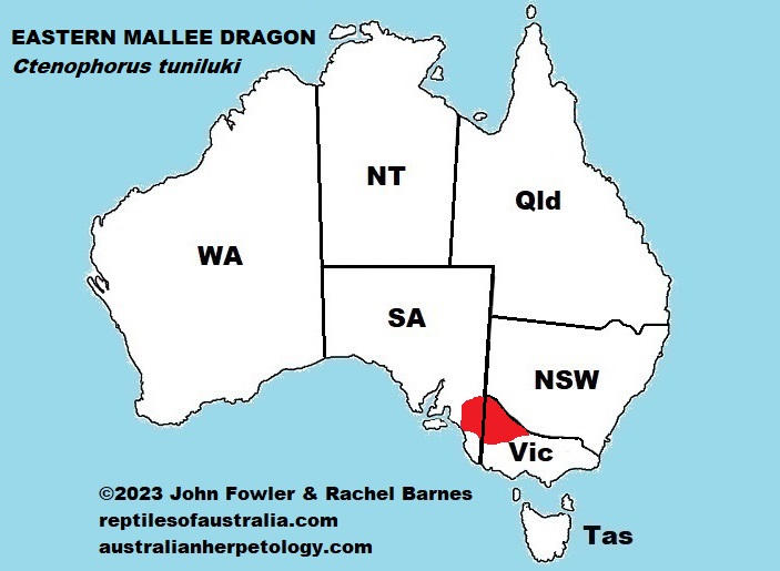 Approximate distribution of the Eastern Mallee Dragon (Ctenophorus tuniluki)