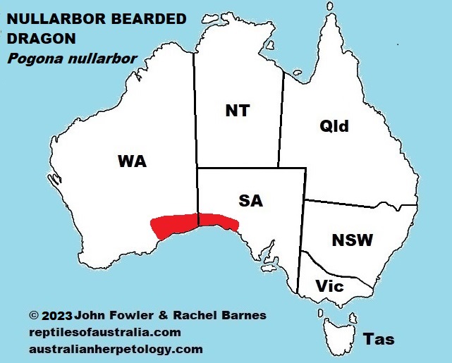 Approximate distribution of the Nullarbor Bearded Dragon (Pogona nullarbor)