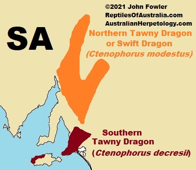 Approximate distribution of the Tawny Dragon (Ctenophorus decresii) RED and the Swift Dragon (Ctenophorus modestus) ORANGE