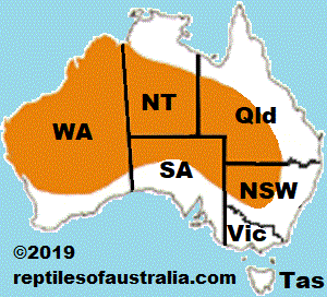 Reptiles of Australia