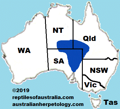 Approximate distribution of the Canegrass Dragon Diporiphora winneckei