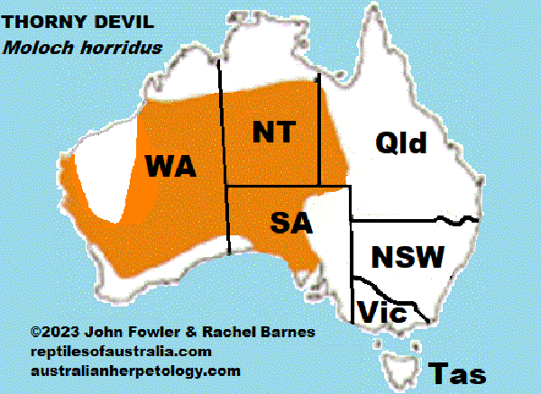 Approximate Distribution of the Thorny Mountain Devil (Moloch horridus) MAP