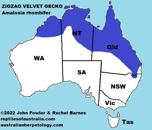 Approximate distribution of the Zigzag Velvet Gecko (Amalosia rhombifer)