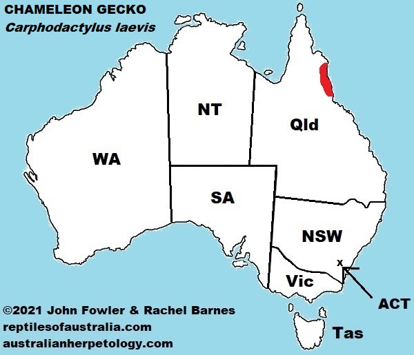 Approximate distribution of the Chameleon Gecko (Carphodactylus laevis)