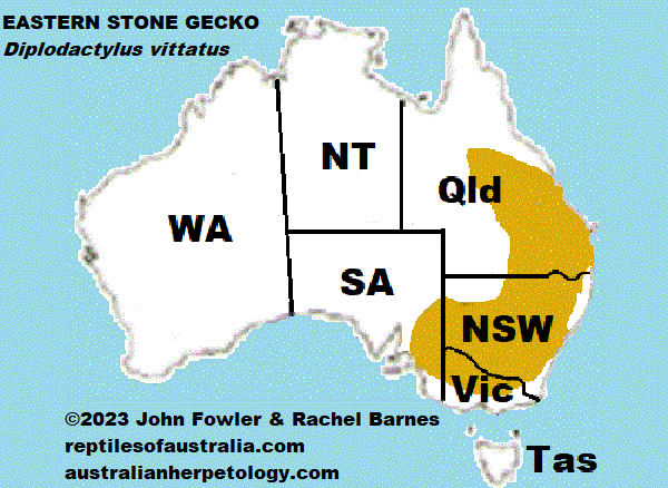 Approximate distribution of the Eastern Stone Gecko (Diplodactylus vittatus) MAP