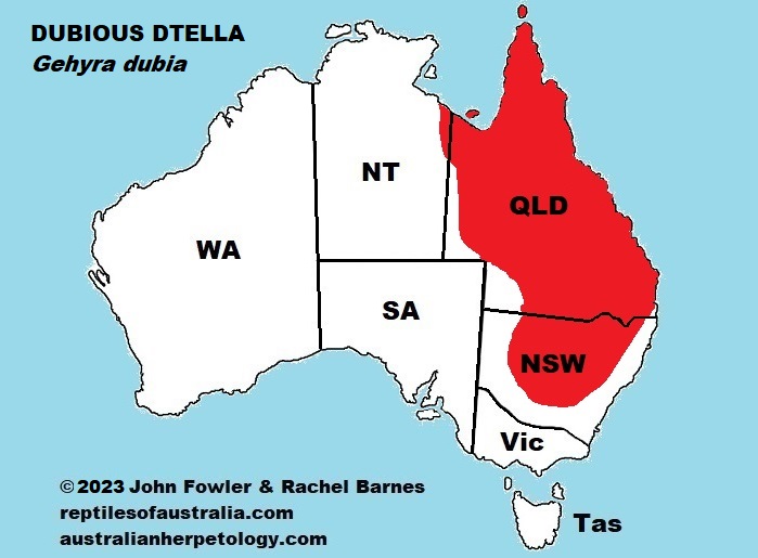 Approximate distribution of the Dubious Gecko (Gehyra dubia) within Australia