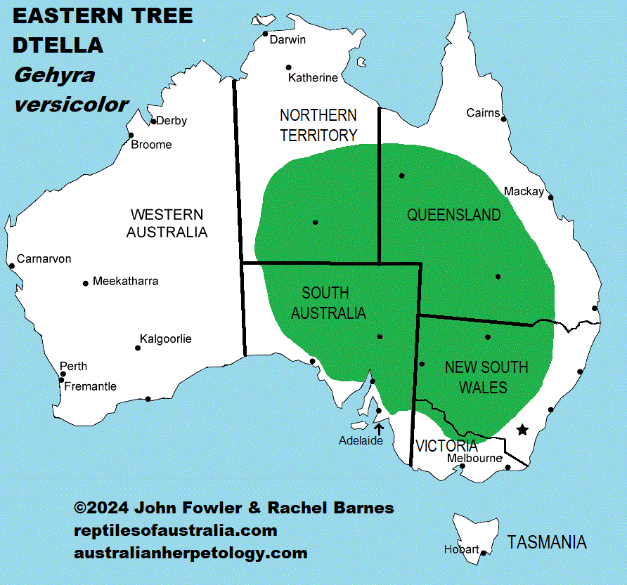 Approximate distribution of the Eastern Tree Dtella (Gehyra versicolor) Map