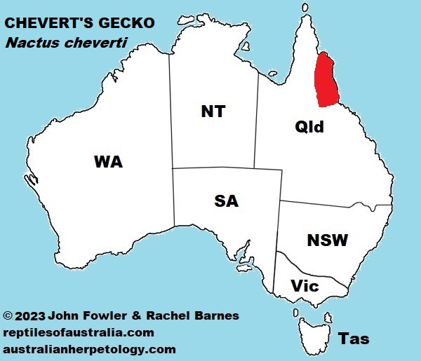 Approximate distribution of Chevert's Gecko (Nactus cheverti)