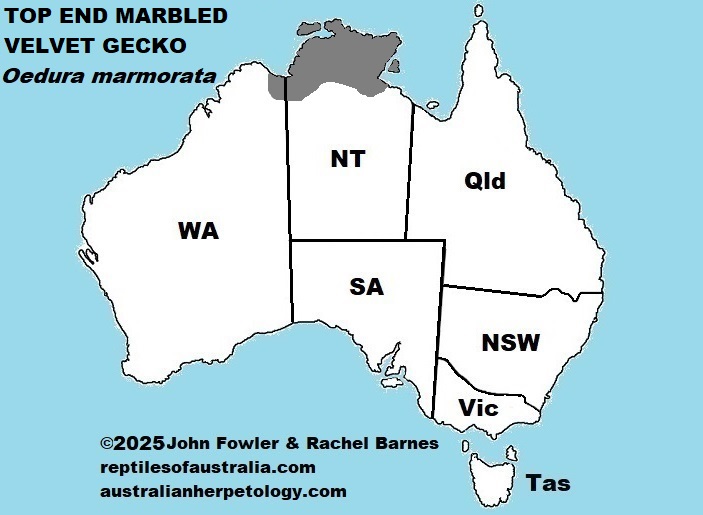 Approximate distribution of the Top End Marbled Velvet Gecko (Oedura marmorata)