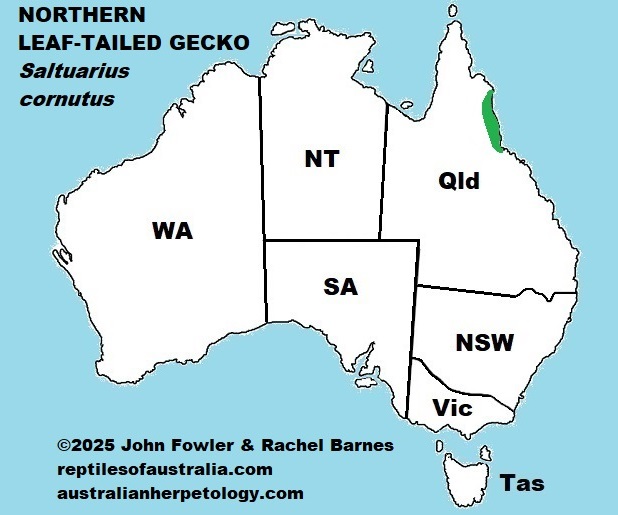 Approximate distribution of Northern Leaf-tailed Gecko (Saltuarius cornutus) Map