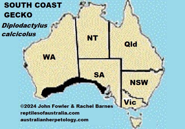 Approximate distribution of the South Coast Gecko (Diplodactylus calcicolus) Map
