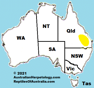 Approximate distribution of Golden-tailed Geckos (Strophurus taenicauda )