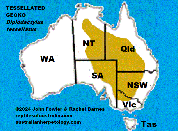 Approximate distribution of the Tesselated Gecko (Diplodactylus tessellatus)  map