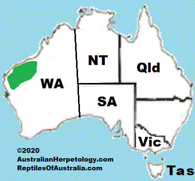 Approximate distribution of the Desert Cave Gecko (Heteronotia spelea) 