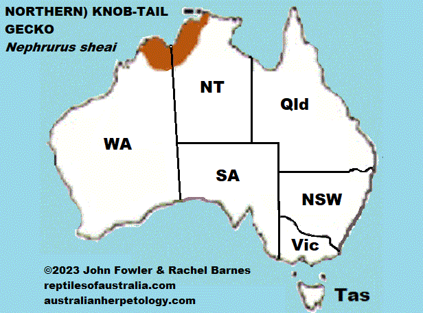 Approximate distribution of the Kimberly Rough Knob-tailed Gecko (Nephrurus sheai) MAP