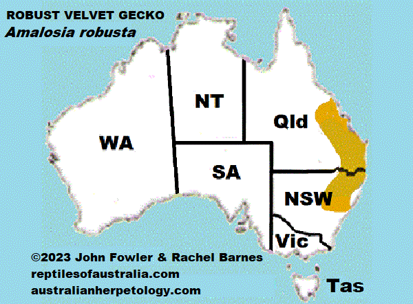 Approximate distribution of the Robust Velvet Gecko (Amalosia robusta)
