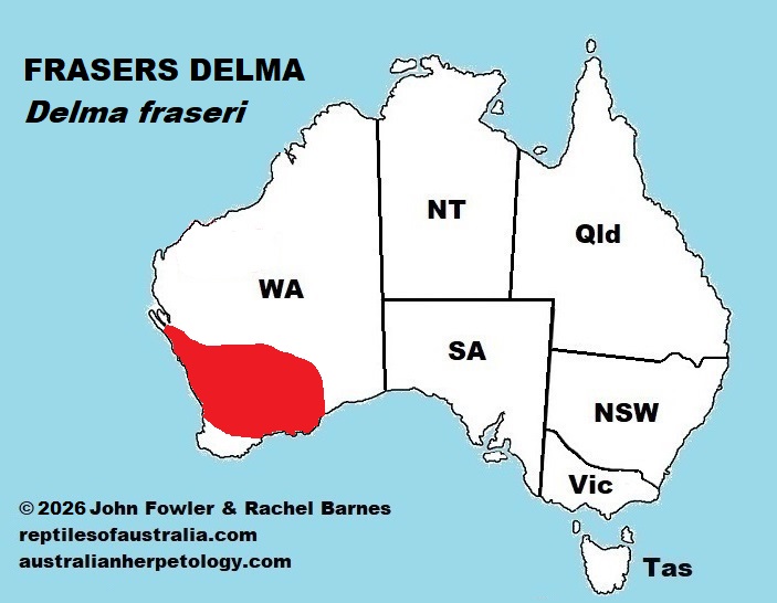 Approximate distribution of the Fraser's Delma (Delma fraseri)