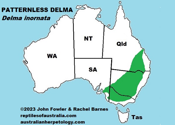 Approximate distribution of the Patternless Delma (Delma inornata)