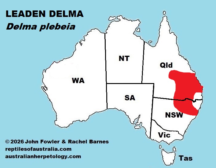 Approximate distribution of the Leaden Delma (Delma plebeia) 