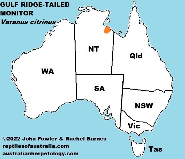 Approximate distribution of the Gulf Ridge-tailed Monitor (Varanus citrinus