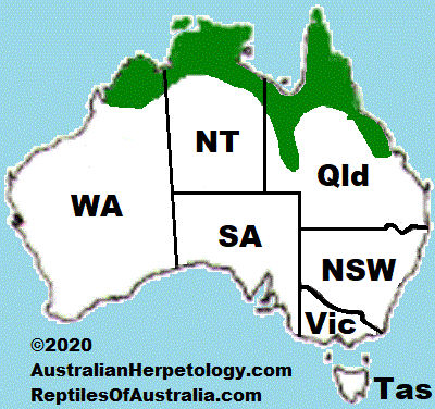 Approximate distribution of the Spotted Tree Monitor (Varanus scalaris)