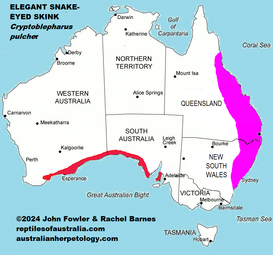 Approximate distribution of Cryptoblepharus pulcher MAP