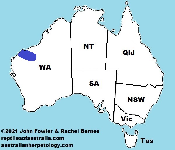 Approximate distribution of the Pilbara Crevice-skink (Egernia pilbarensis) map