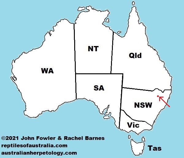 Approximate distribution of the Kaputar Rock Skink (Egernia roomi)