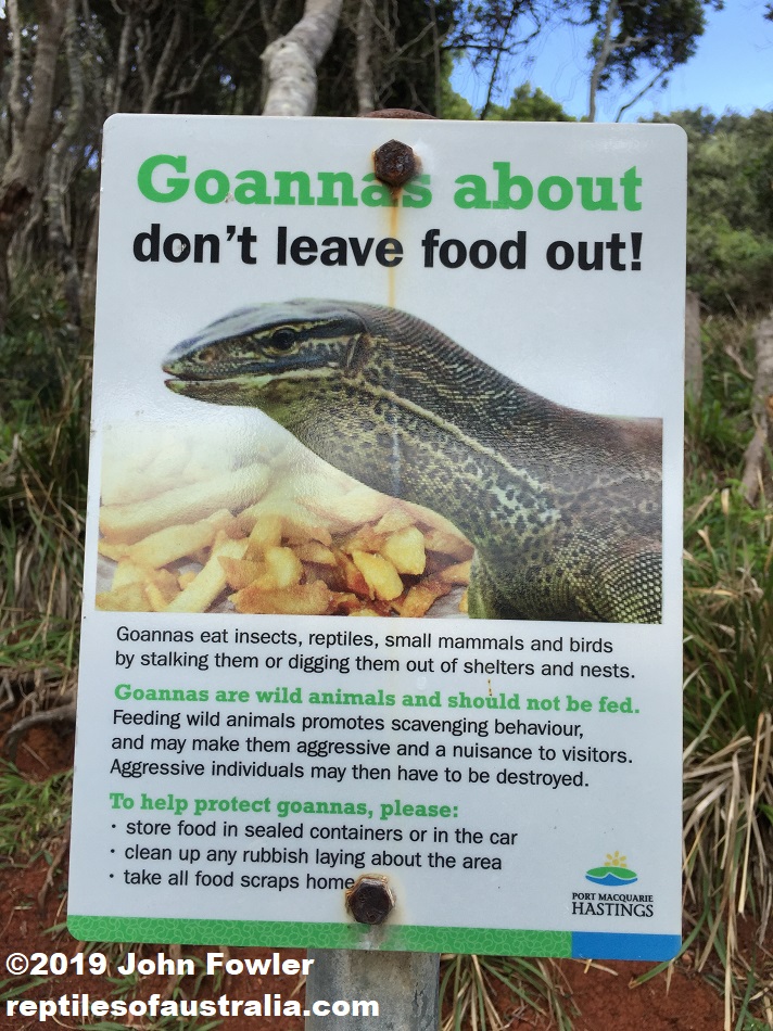 Goanna Warning Sign
