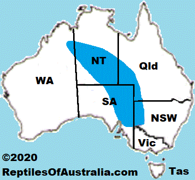 Approximate distribution of the Desert Plain Slider Lerista aericeps map