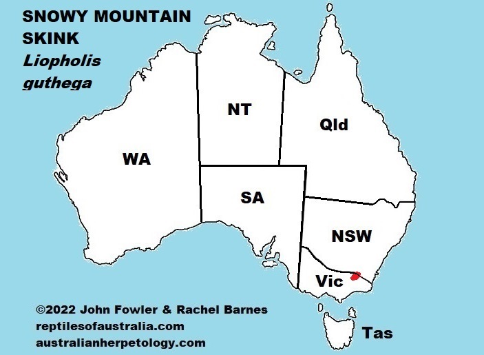 Approximate distribution of the Snowy Mountain Skinks (Liopholis guthega)