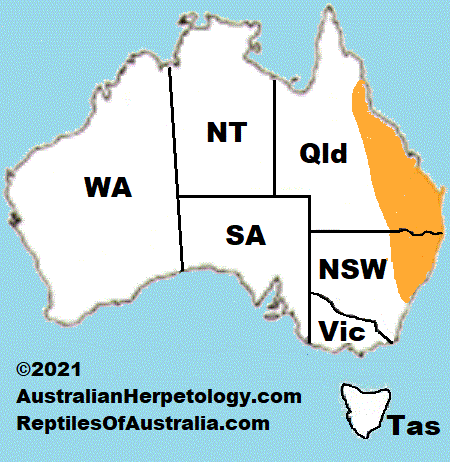 Approximate distribution of the Iridescent Litter-skink (Lygisaurus foliorum) 