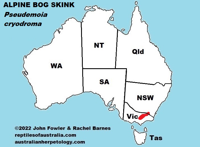 Approximate distribution of the Alpine Bog Skink (Pseudemoia cryodroma)