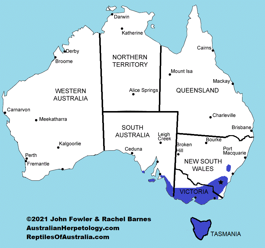 Approximate distribution of the Southern Grass Skink (Pseudemoia entrecasteauxii)