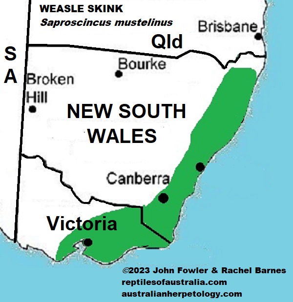 Approximate Distribution of the Weasel Skink (Saproscincus mustelinus) 