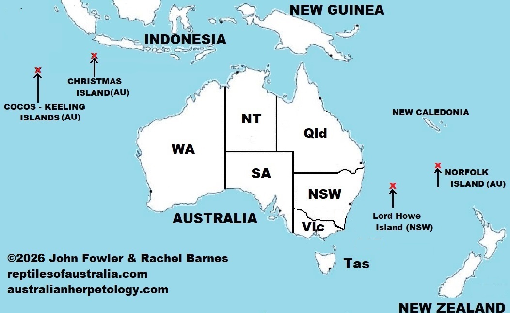 Lord Howe and Norfolk Islands Skink (Oligosoma lichenigerum) with island localities