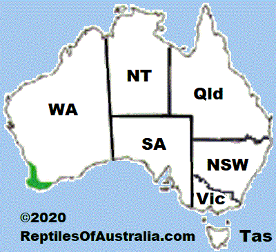 Approximate distribution of the Western Mourning Skink (Lissolepis luctuosa) 