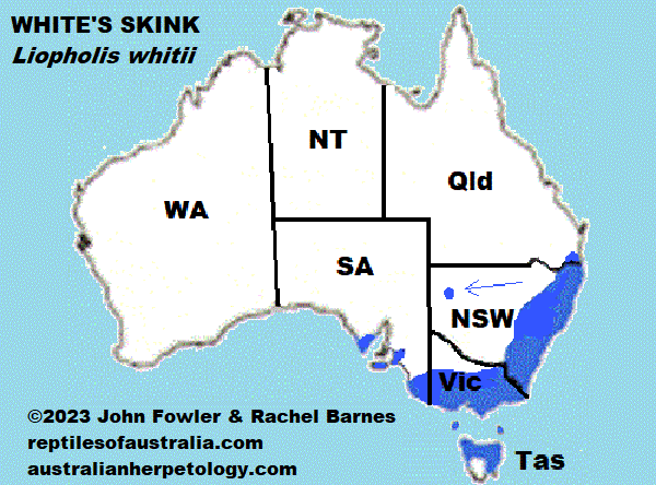 White's skink Liopholis whitii map
