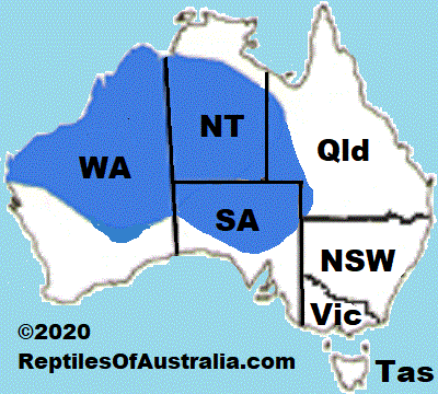 Reptiles of Australia