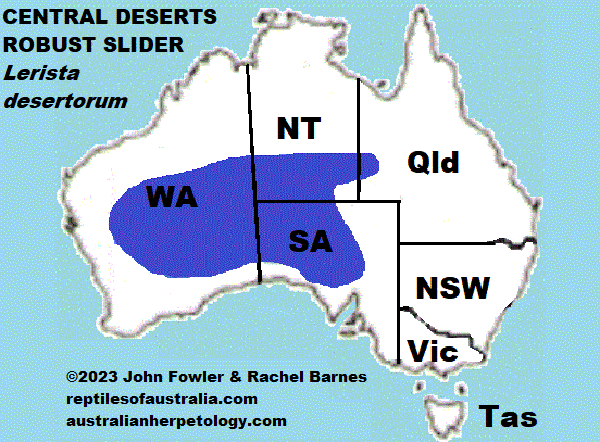 Approximate distribution of the Central Deserts Robust Slider Lerista desertorum 
