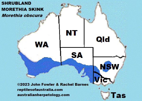 Approximate Distribution of the Shrubland Morethia Skink Morethia obscura