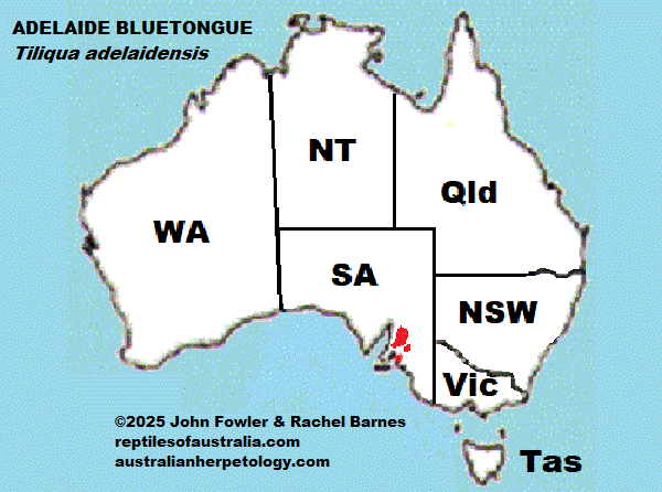 Approximate distribution of the Pygmy Blue-tongued Skink Tiliqua adelaidensis 