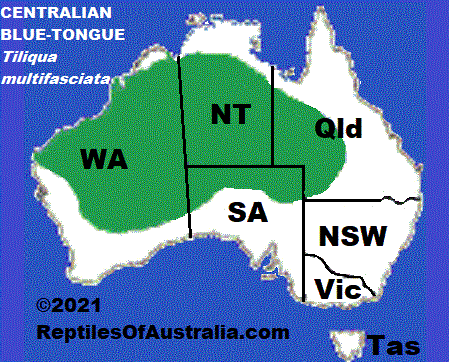 Approximate distribution of the Centralian Blue-Tongued Lizard (Tiliqua multifasciata) map