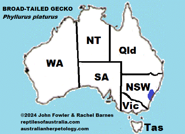 Approximate distribution of the Broad-tailed Gecko (Phyllurus platurus)