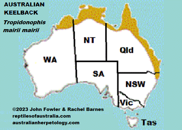 Approximate distribution of the Australian Keelback Tropidonophis mairii map