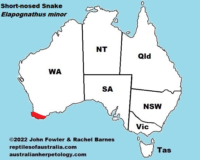 Approximate distribution of the Short-nosed Snake (Elapognathus minor)