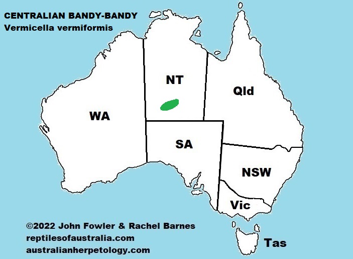 Approximate distribution of the Centralian Bandy-Bandy (Vermicella vermiformis)