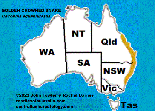 Approximate distribution map of the Golden-crowned Snake (Cacophis squamulosus)